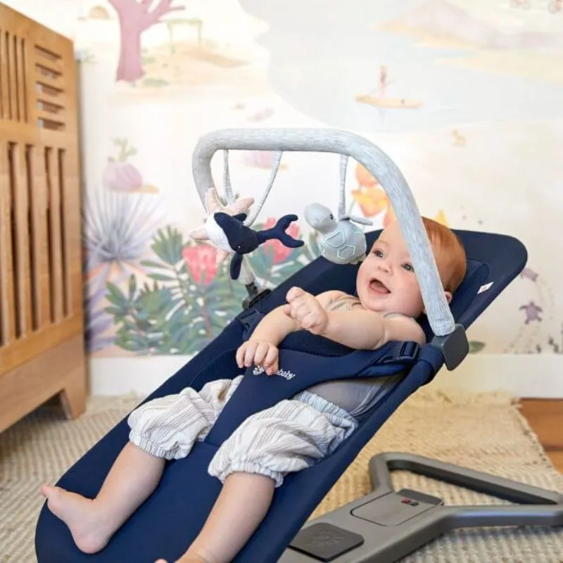 3-in-1 Evolve Bouncer