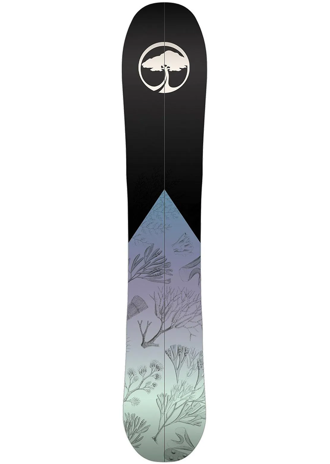 Arbor Women's Veda Camber Splitboard
