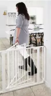 Baby Dan Two-Way Auto Close Safety Gate with 3 extensions