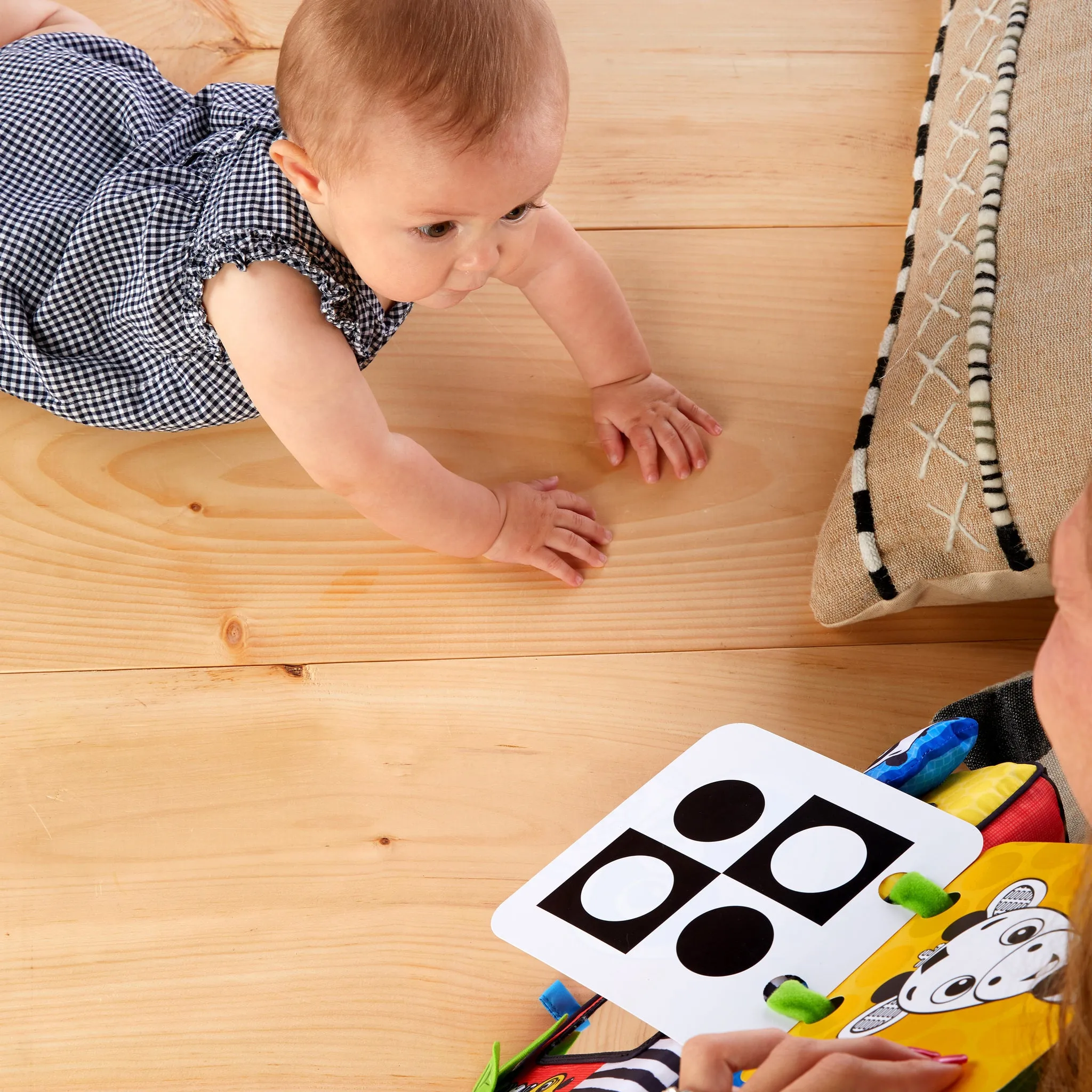 Baby Einstein - Flip For Art - DS
