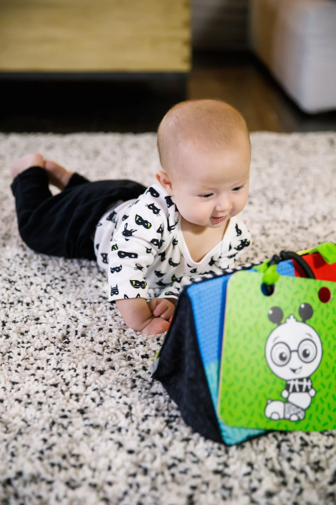 Baby Einstein - Flip For Art - DS