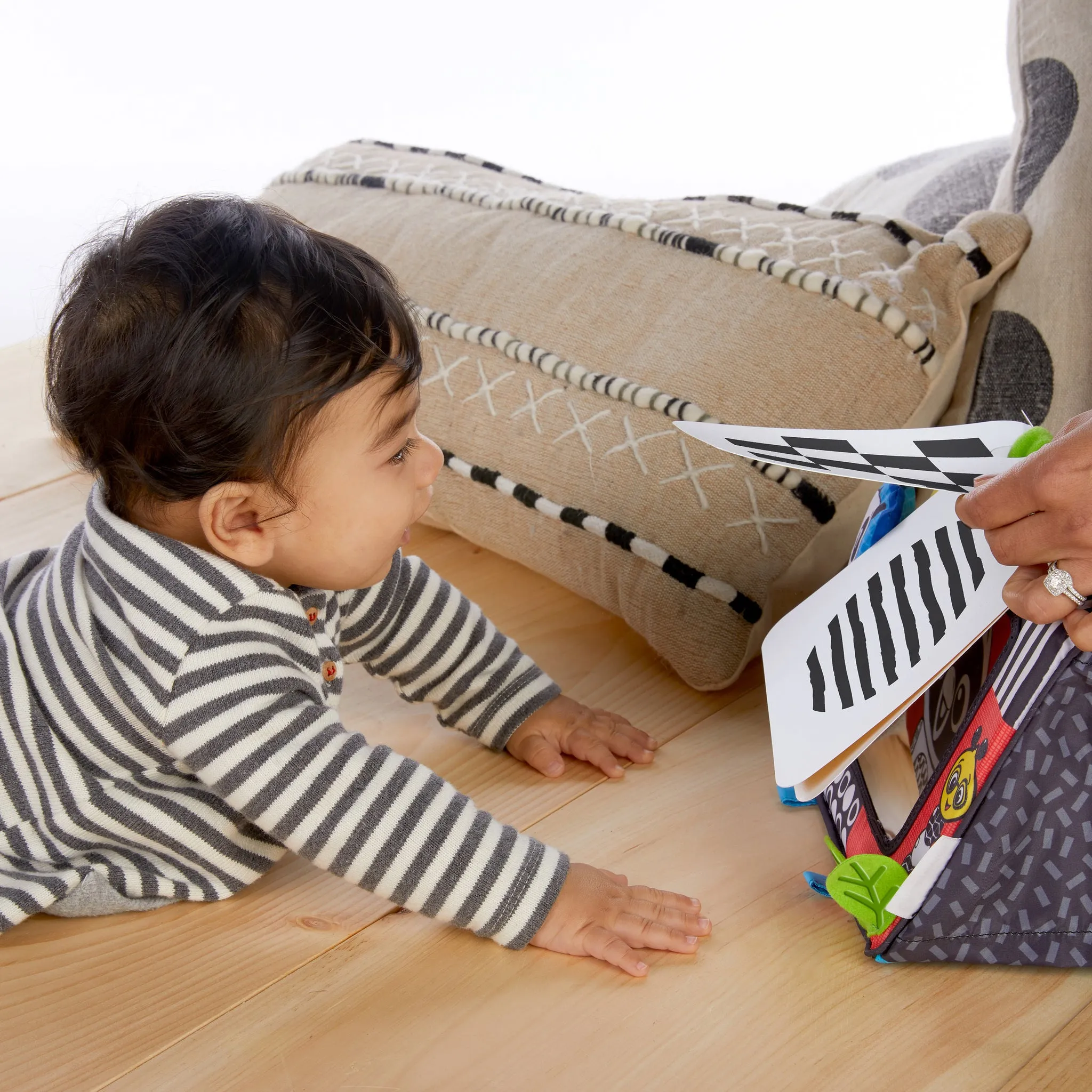 Baby Einstein - Flip For Art - DS