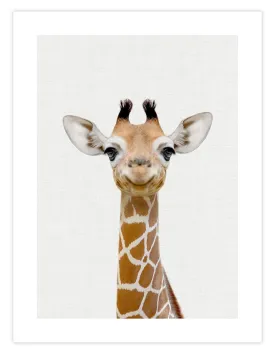 Baby Giraffe Peekaboo