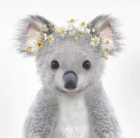 Baby Koala Daisy Crown Print A4