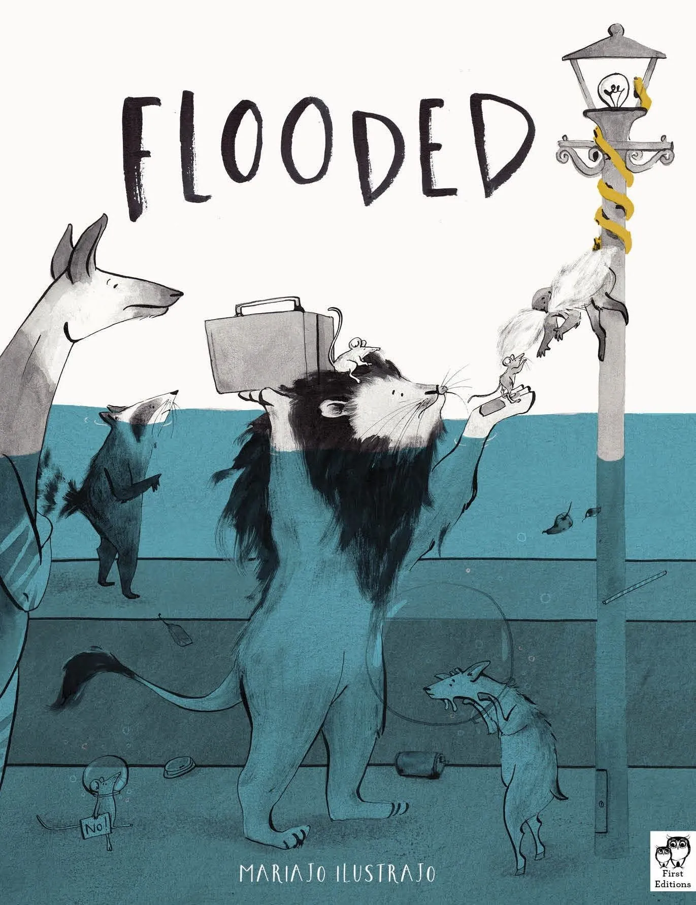 Book - Flooded