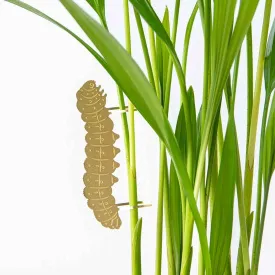 Brass Plant Accessory: Caterpillar