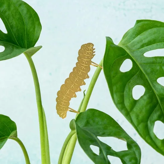 Brass Plant Accessory: Caterpillar