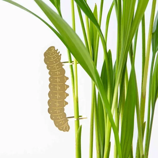 Brass Plant Accessory: Caterpillar