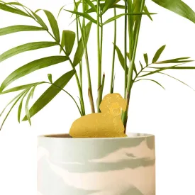 Brass Plant Pet: Daschund