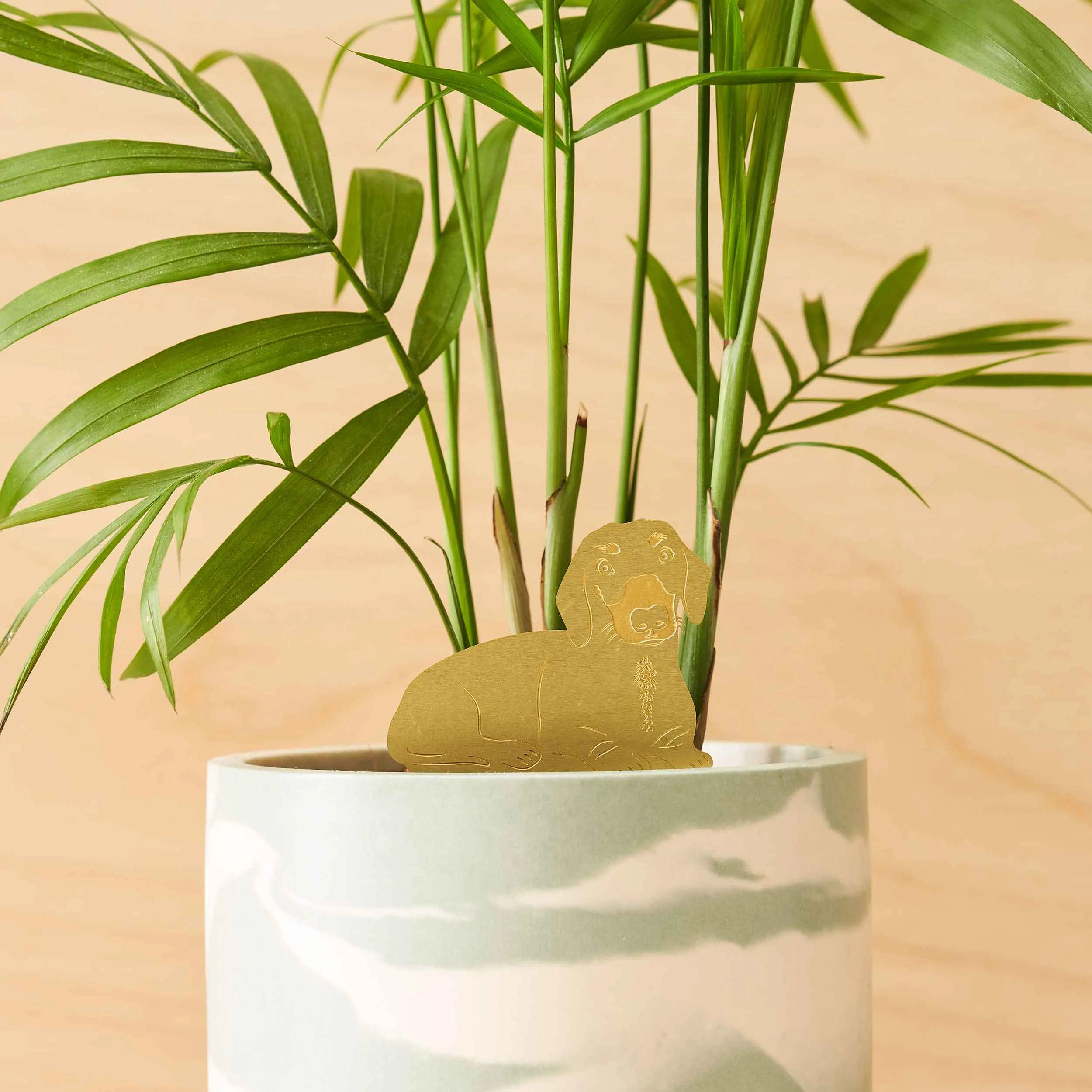 Brass Plant Pet: Daschund