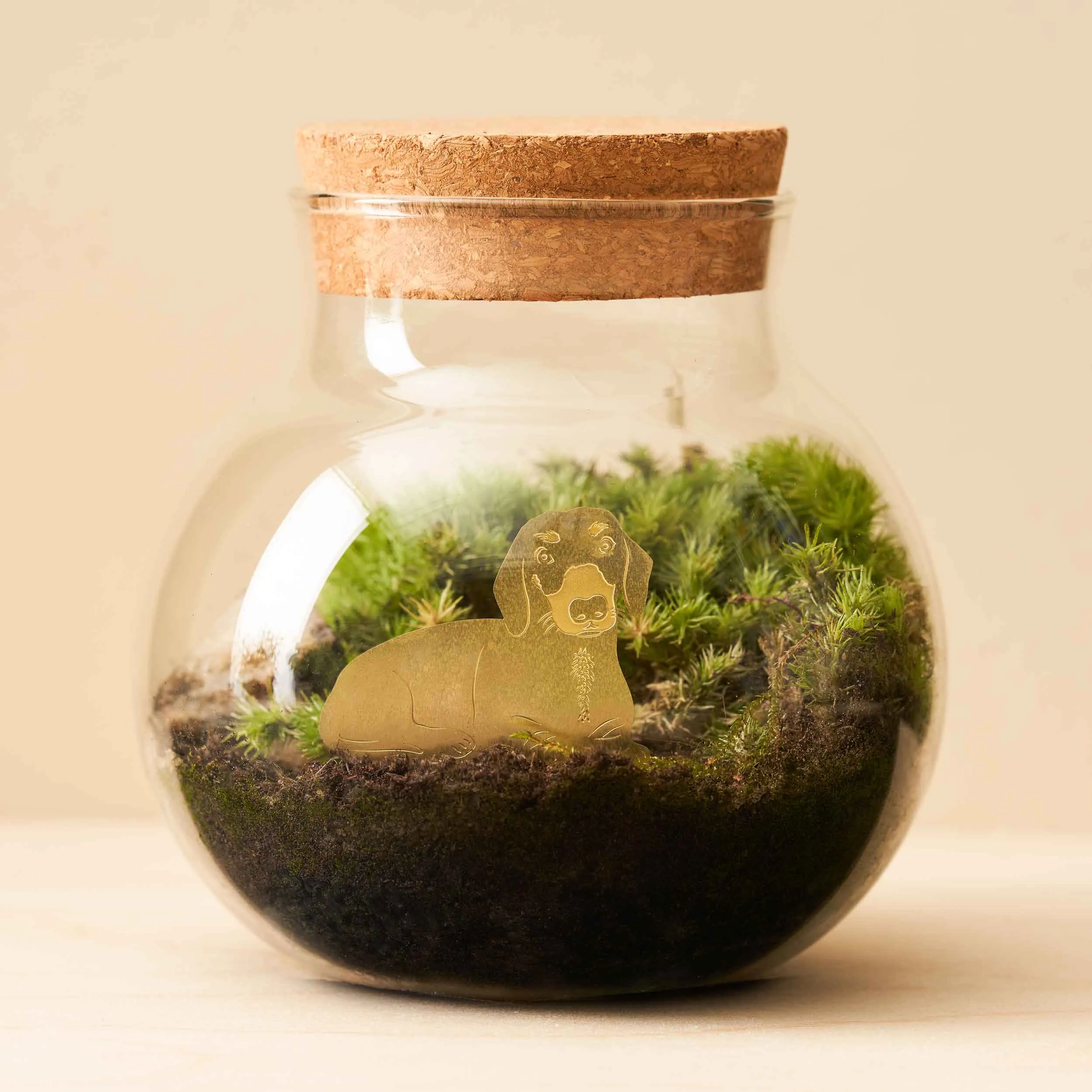 Brass Plant Pet: Daschund