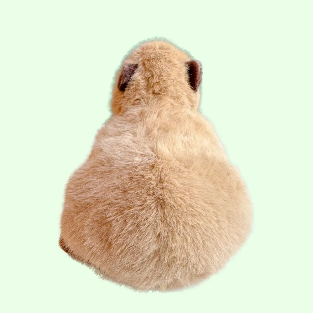 Chattie the Capybara Soft Plush Toy