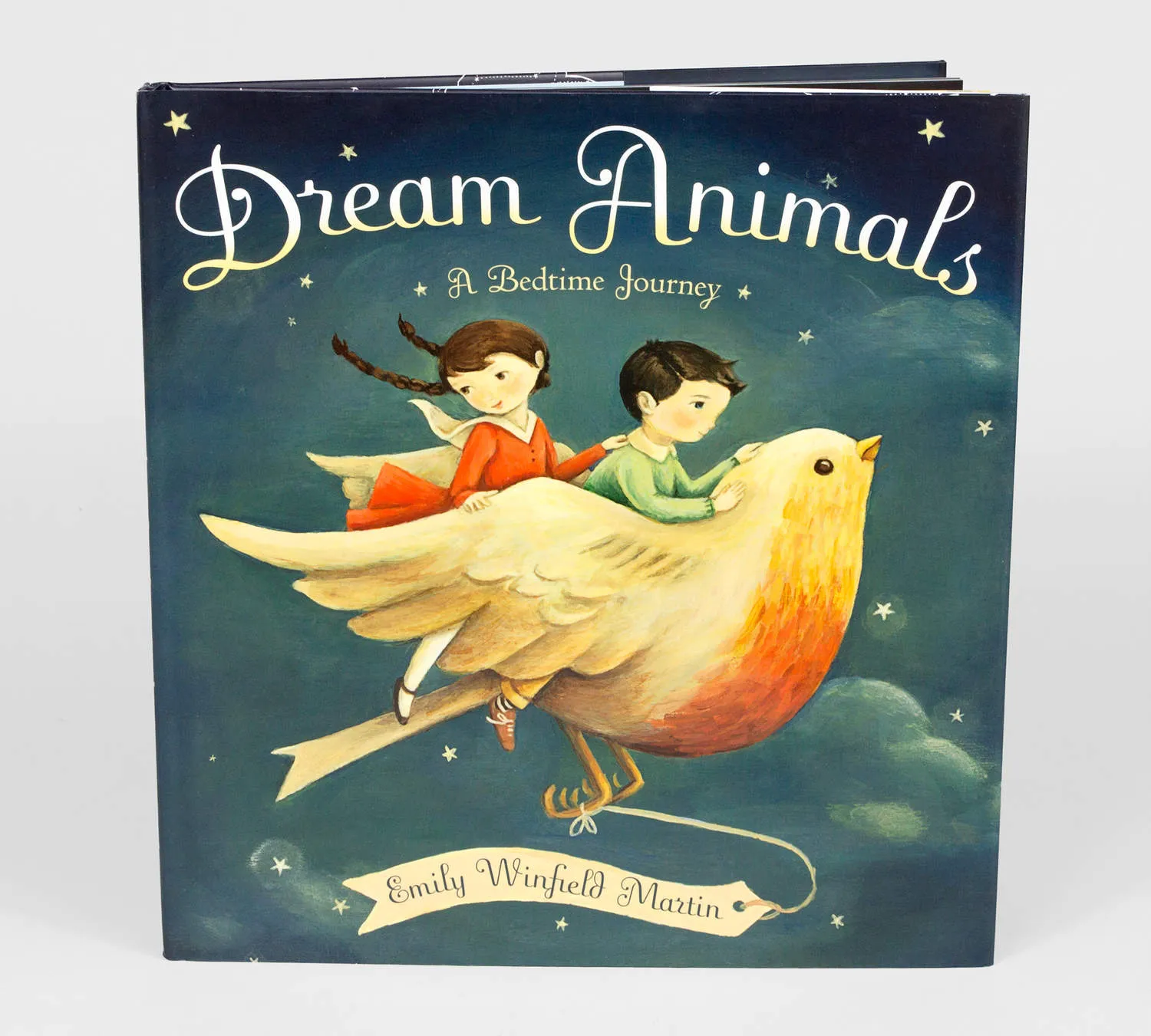 Dream Animals by Emily Winfield Martin