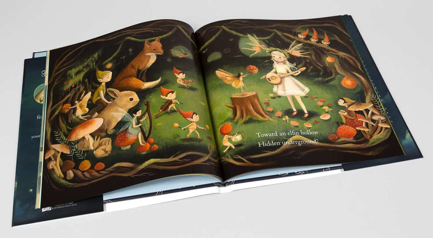 Dream Animals by Emily Winfield Martin