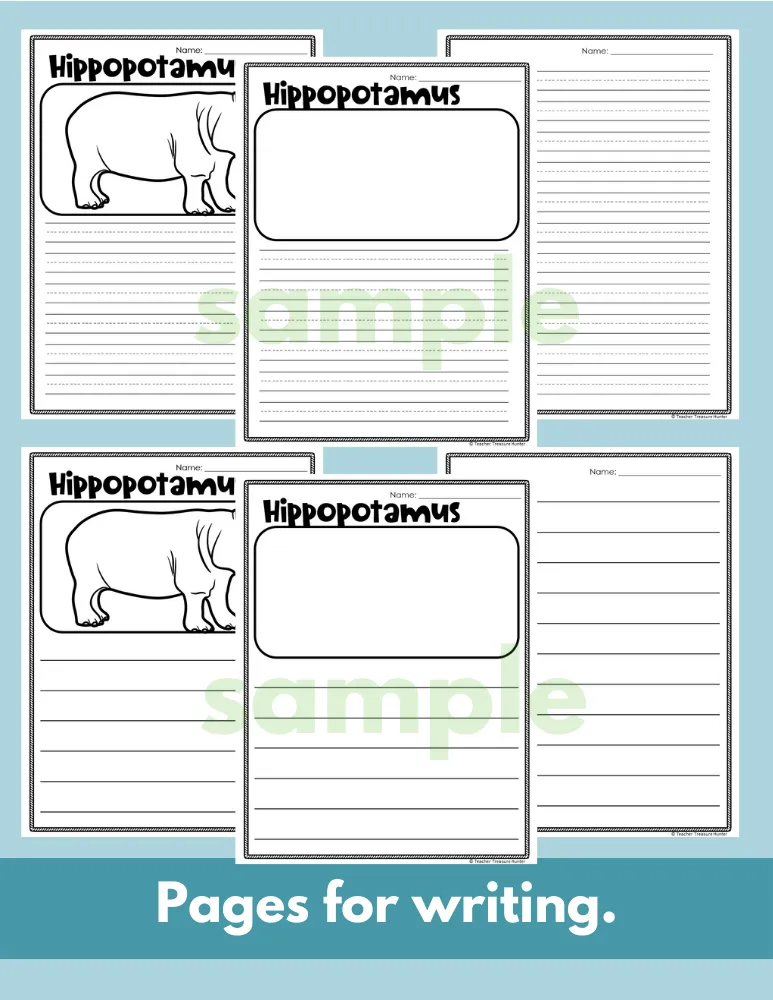 Hippo African Savanna habitat Hippopotamus Facts Read Write Color activity
