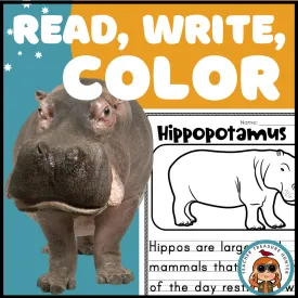 Hippo African Savanna habitat Hippopotamus Facts Read Write Color activity