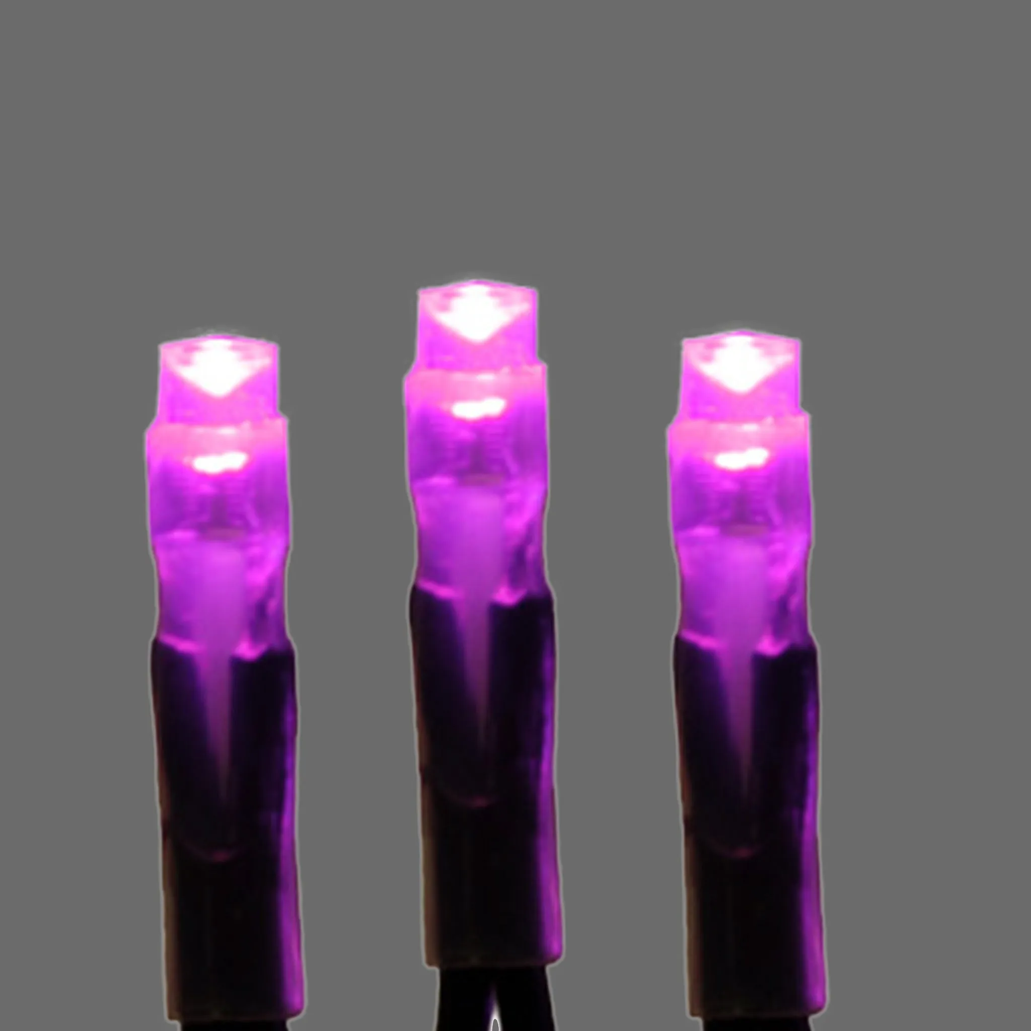 Pro 50 HD 5MM Mini Light Strings - Static Bulbs with Green Wire