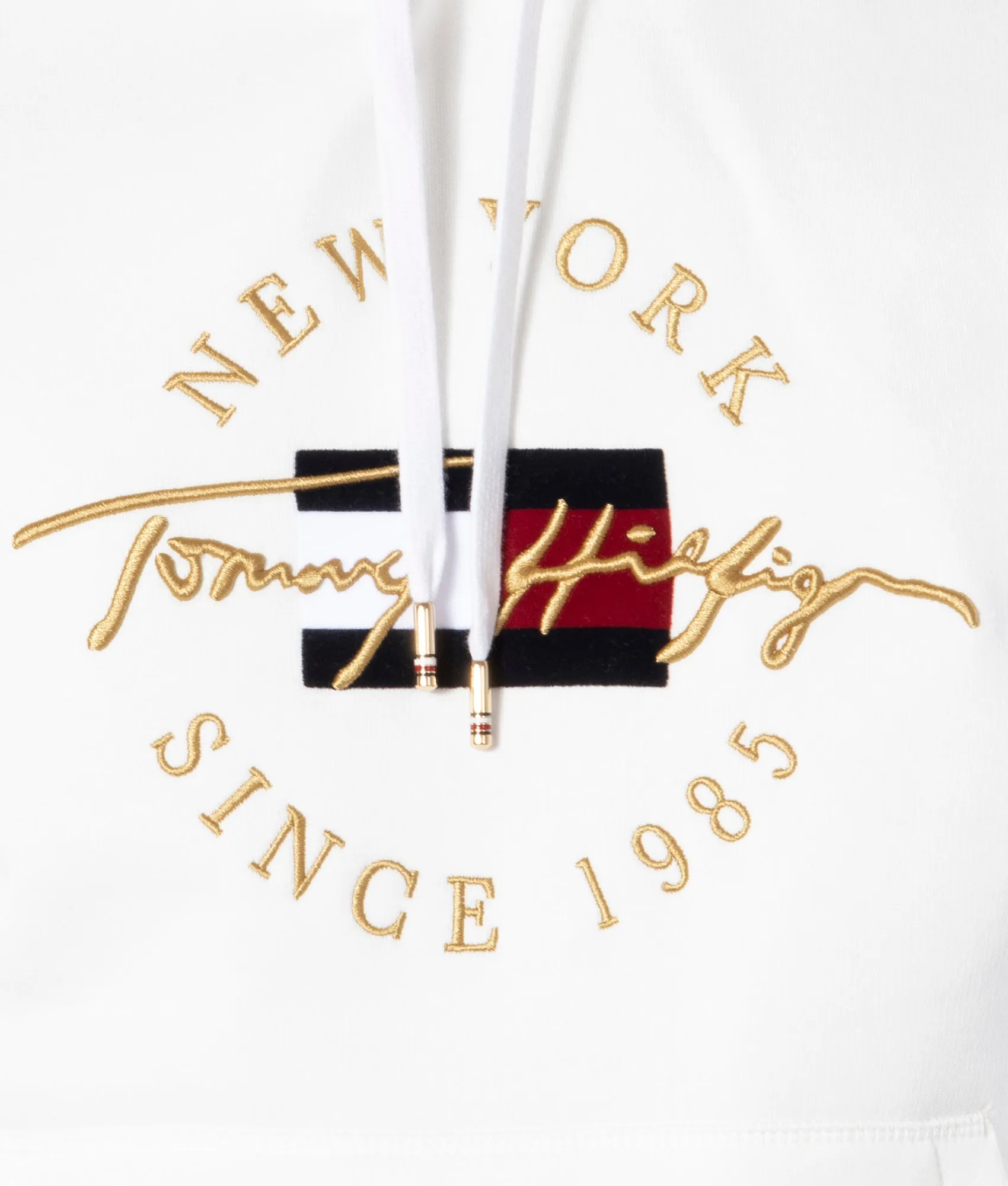 Seasonal Icon Hoodie