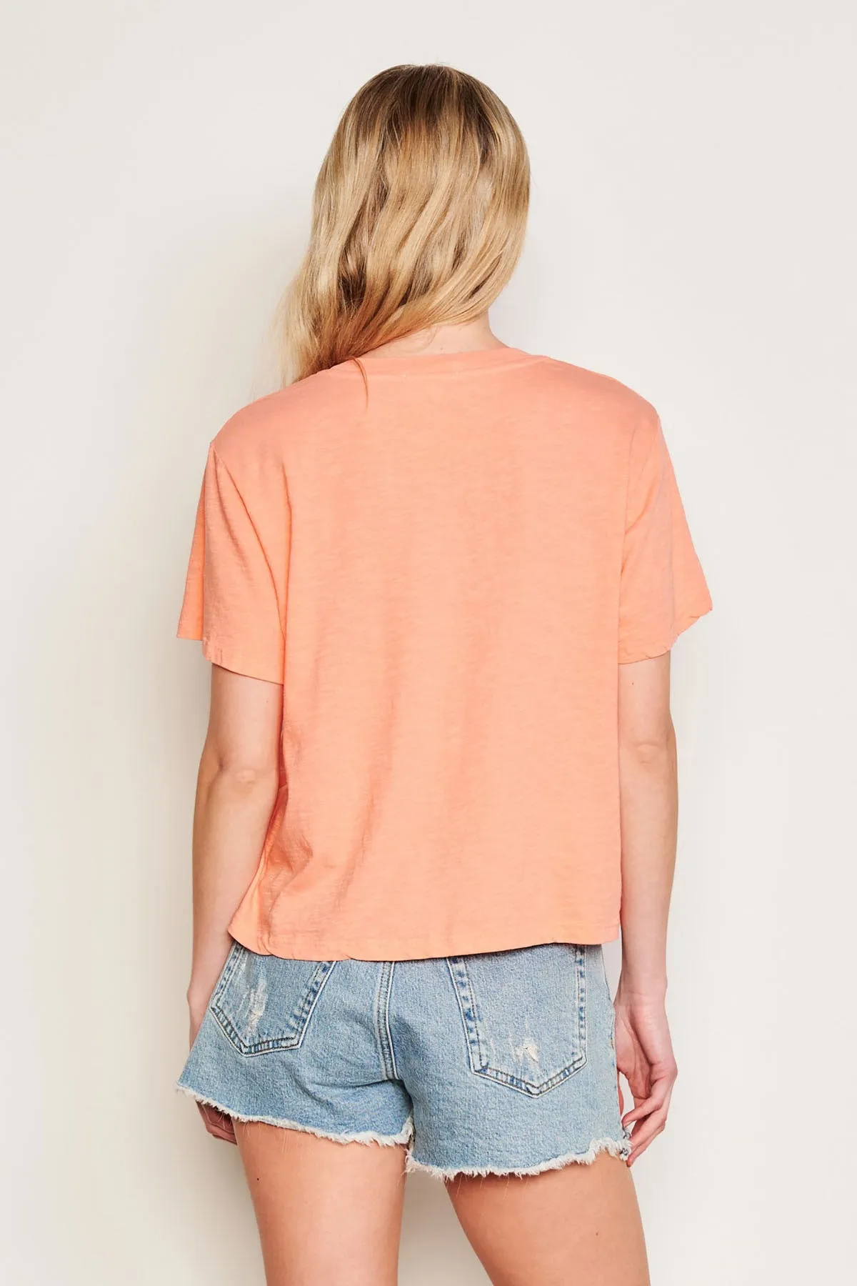 Sundry Crew Neck Tee in Pink